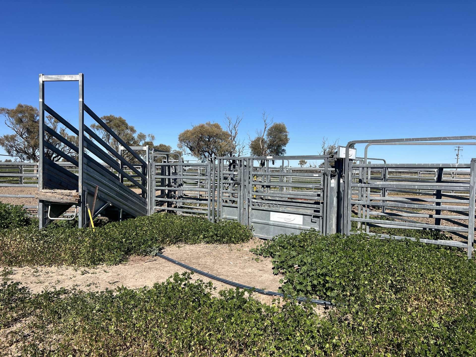 Inverella, Carinya & Mindaribba, Brewarrina For Sale by Farmbuy.com - image 29