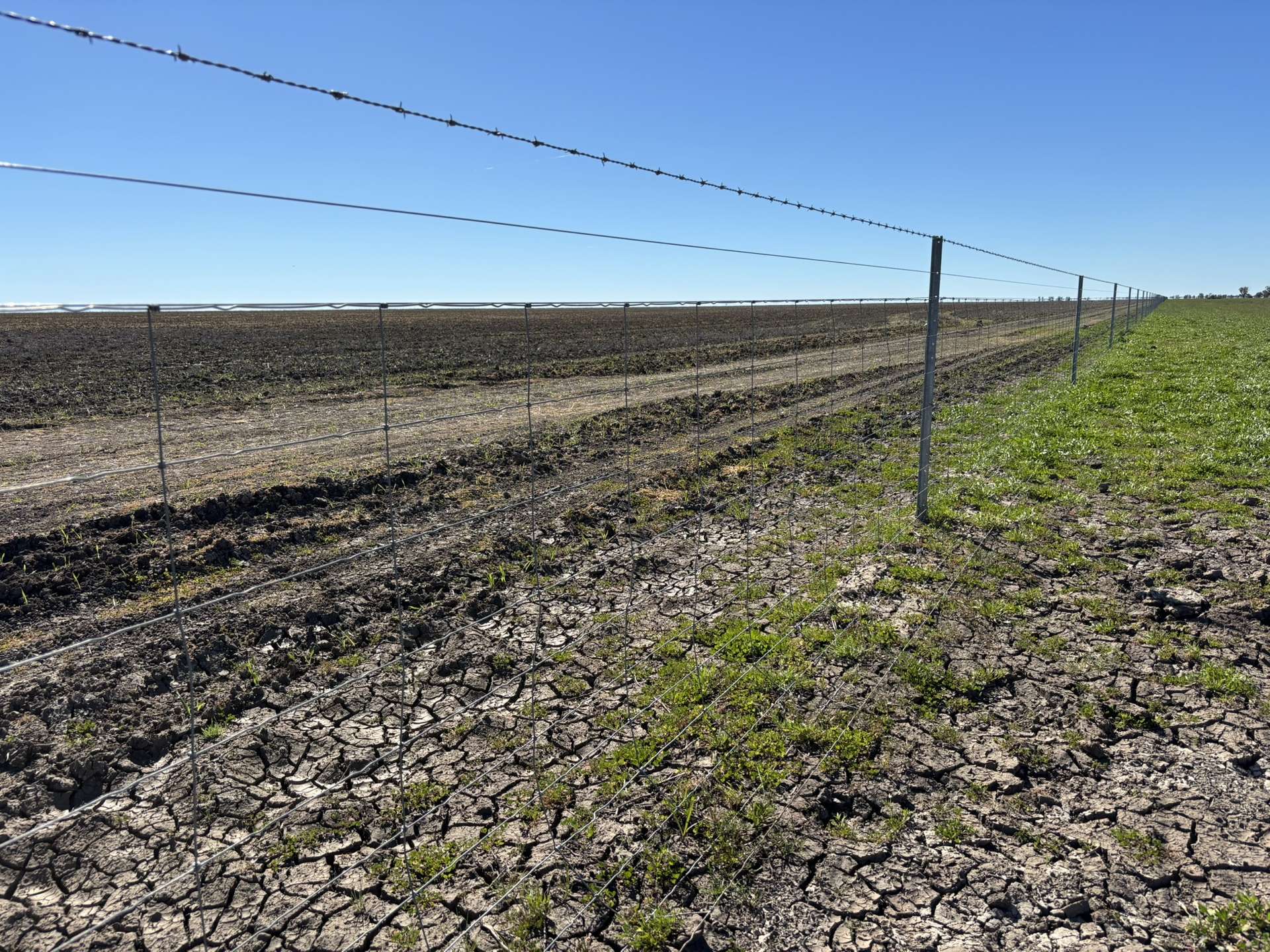 Inverella, Carinya & Mindaribba, Brewarrina For Sale by Farmbuy.com - image 6