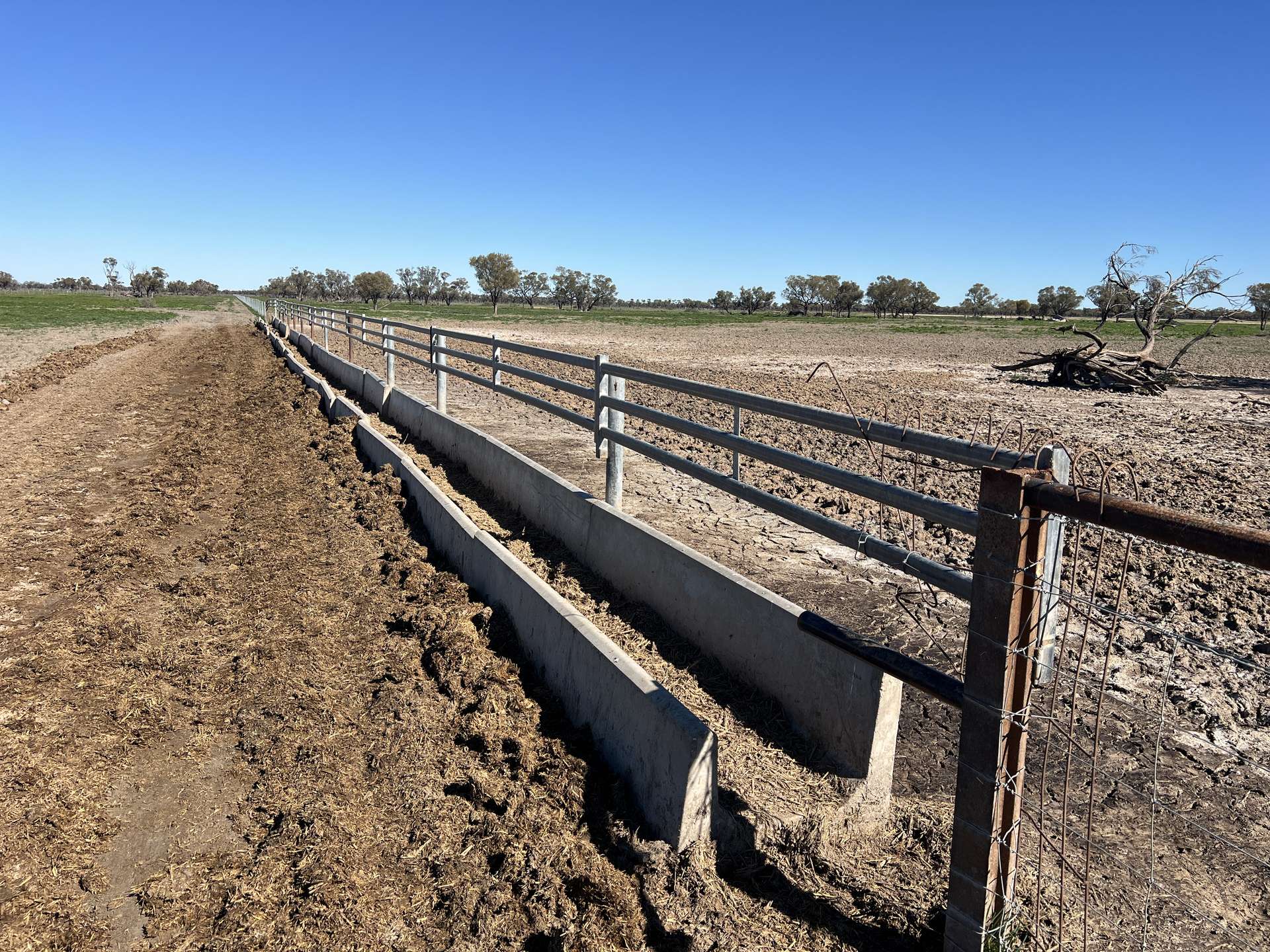 Inverella, Carinya & Mindaribba, Brewarrina For Sale by Farmbuy.com - image 27