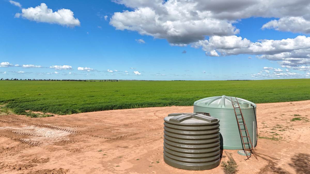 'Meridian Park' Parallel & Joyce Road, Walpeup For Sale by Farmbuy.com - image 5