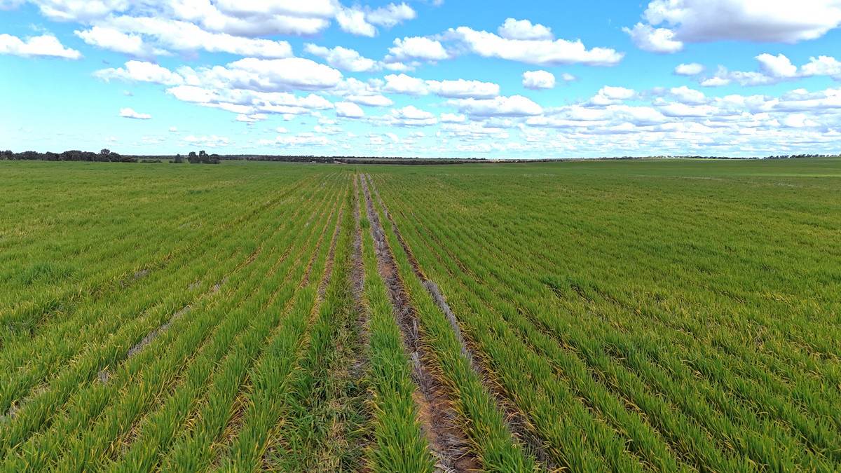 'Meridian Park' Parallel & Joyce Road, Walpeup For Sale by Farmbuy.com - image 13