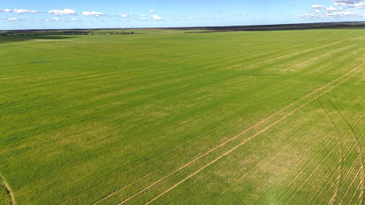 'Meridian Park' Parallel & Joyce Road, Walpeup For Sale by Farmbuy.com - image 6