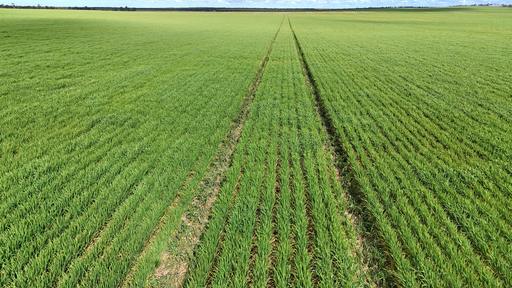 'Meridian Park' Parallel & Joyce Road, Walpeup VIC 3507