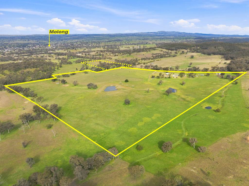 136 Nyora Lane, Molong NSW 2866