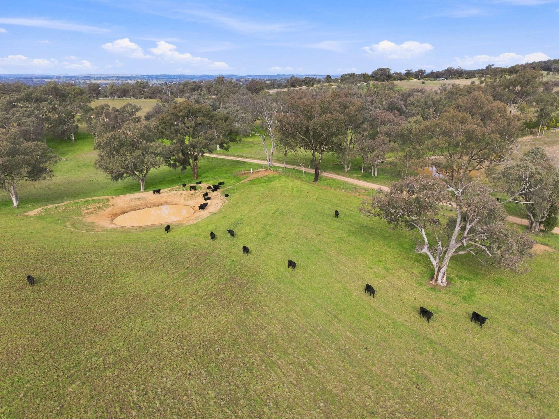 136 Nyora Lane, Molong Auction by Farmbuy.com - image 4
