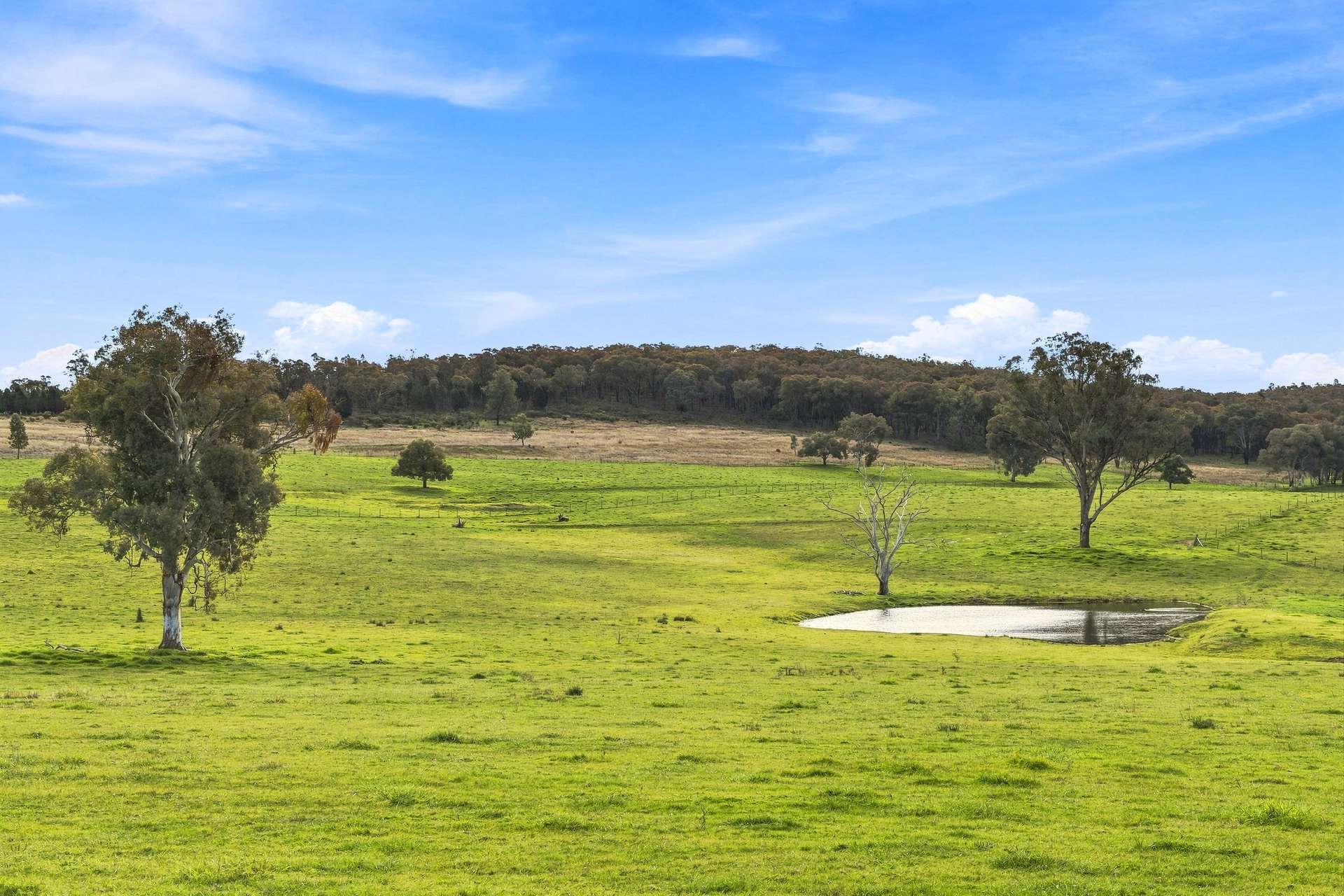 136 Nyora Lane, Molong Auction by Farmbuy.com - image 6