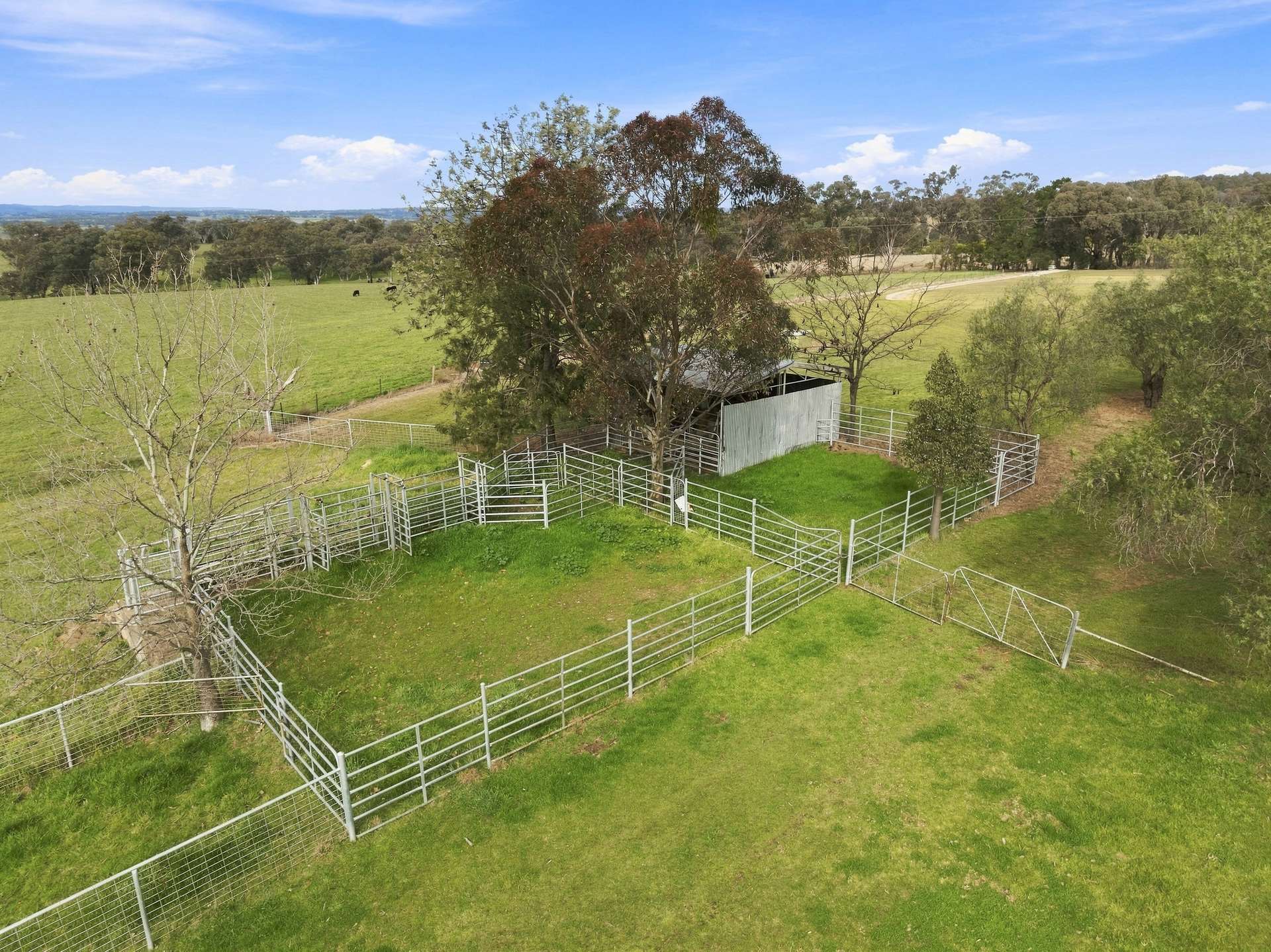 136 Nyora Lane, Molong Auction by Farmbuy.com - image 17