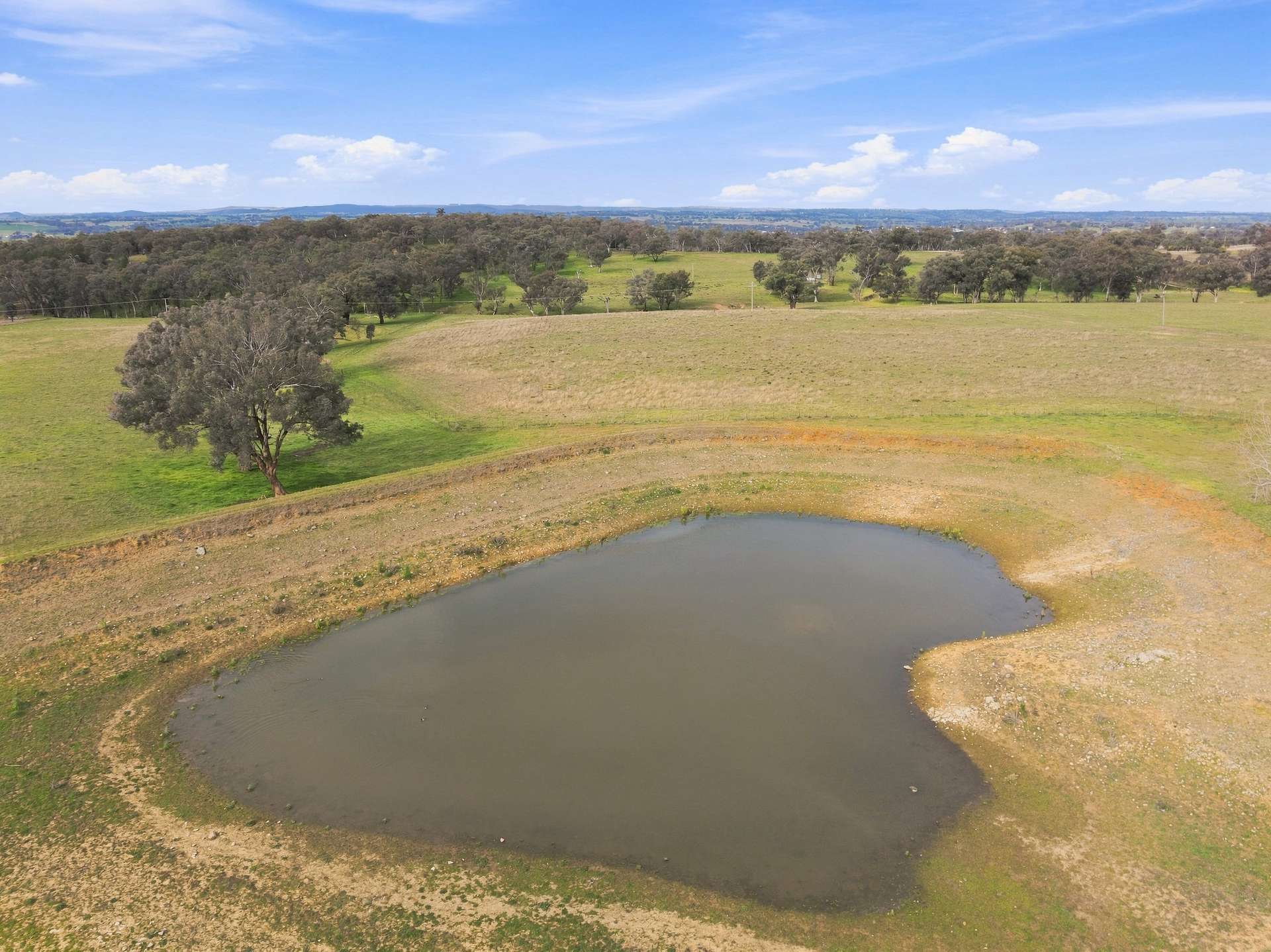 136 Nyora Lane, Molong Auction by Farmbuy.com - image 5