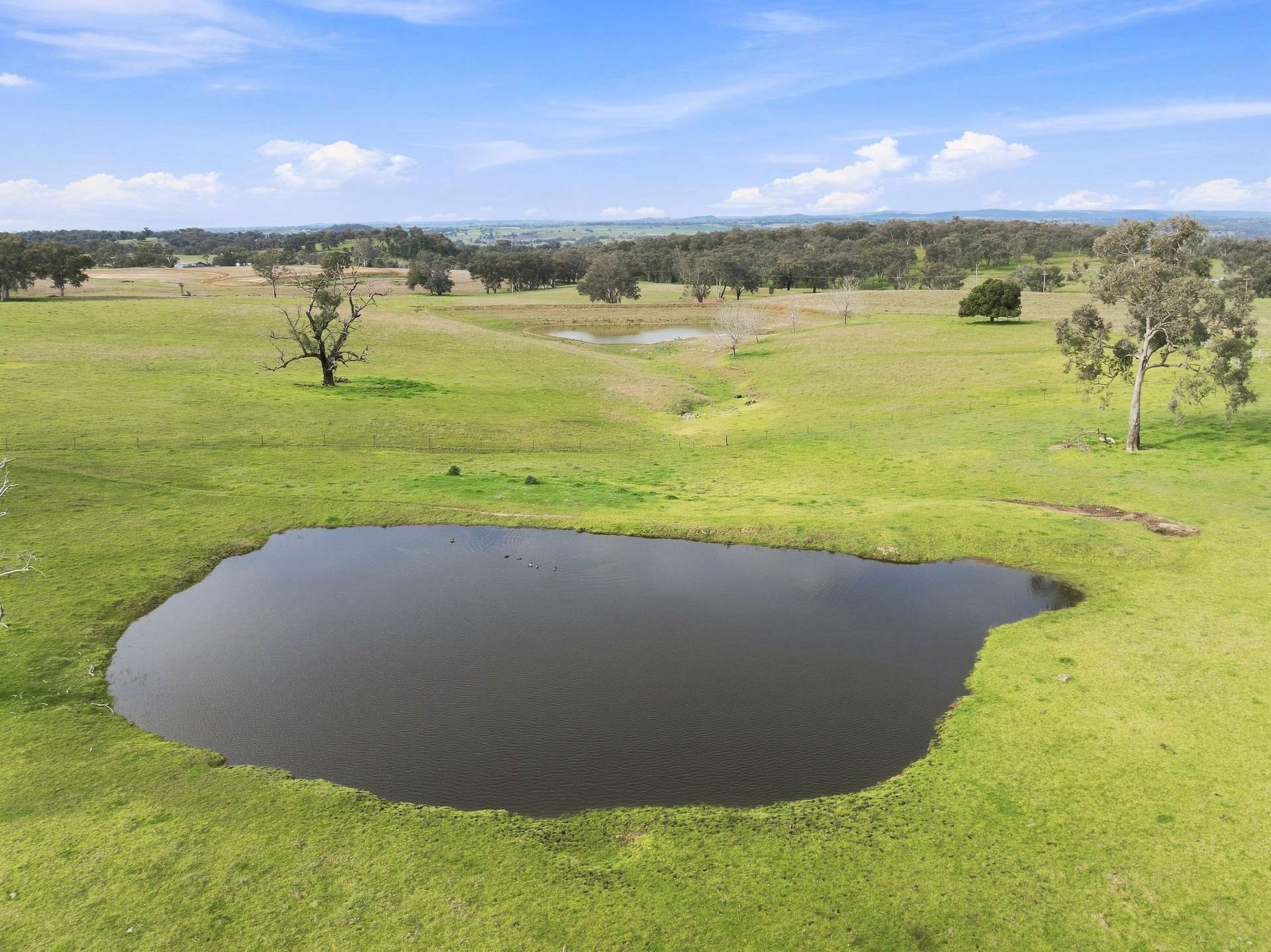 136 Nyora Lane, Molong Auction by Farmbuy.com - image 3