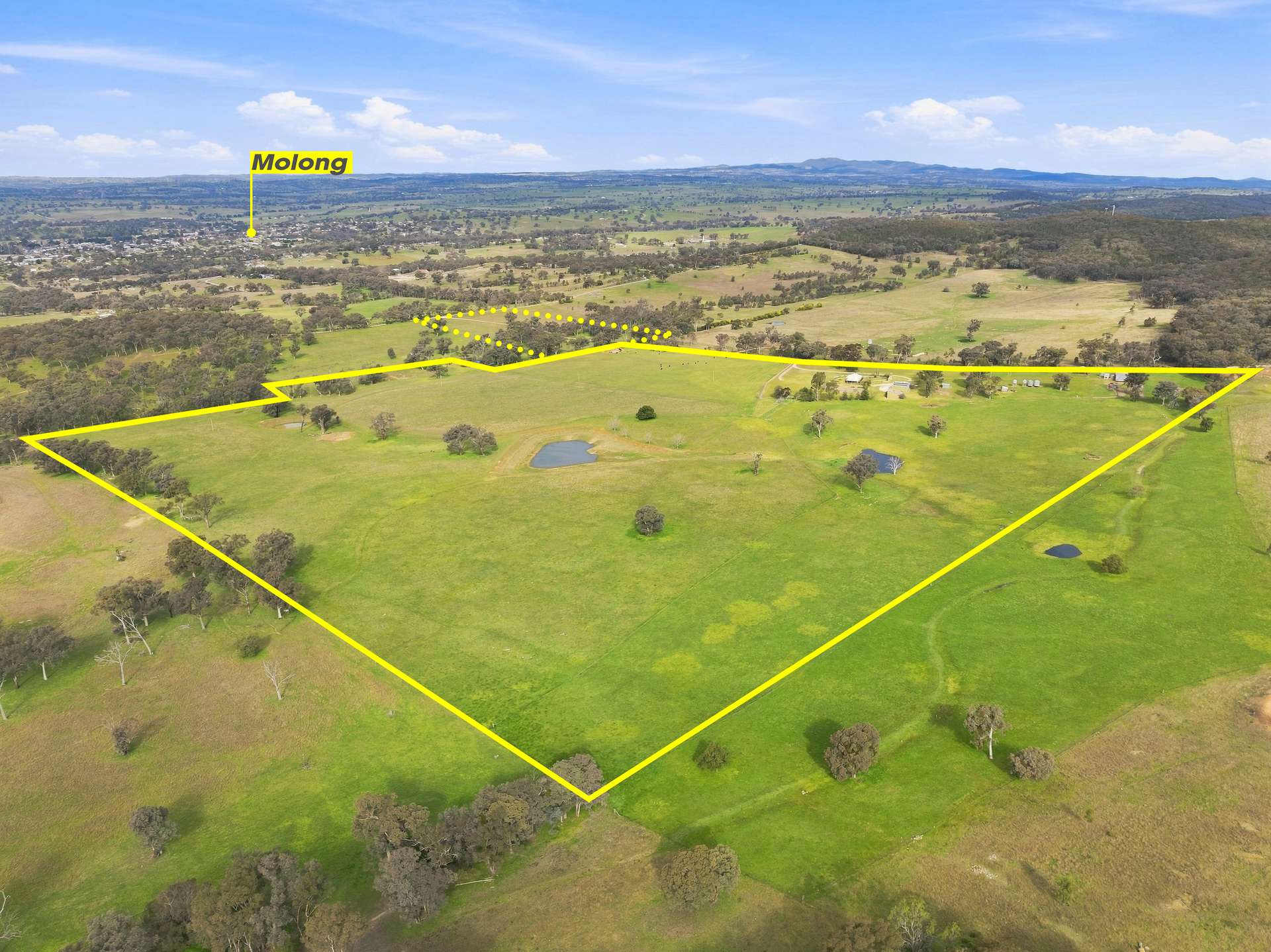 136 Nyora Lane, Molong Auction by Farmbuy.com - image 1