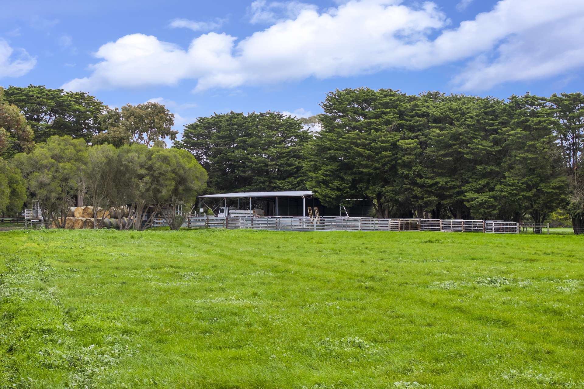 470 Rifle Butts Road, Birregurra For Sale by Farmbuy.com - image 17