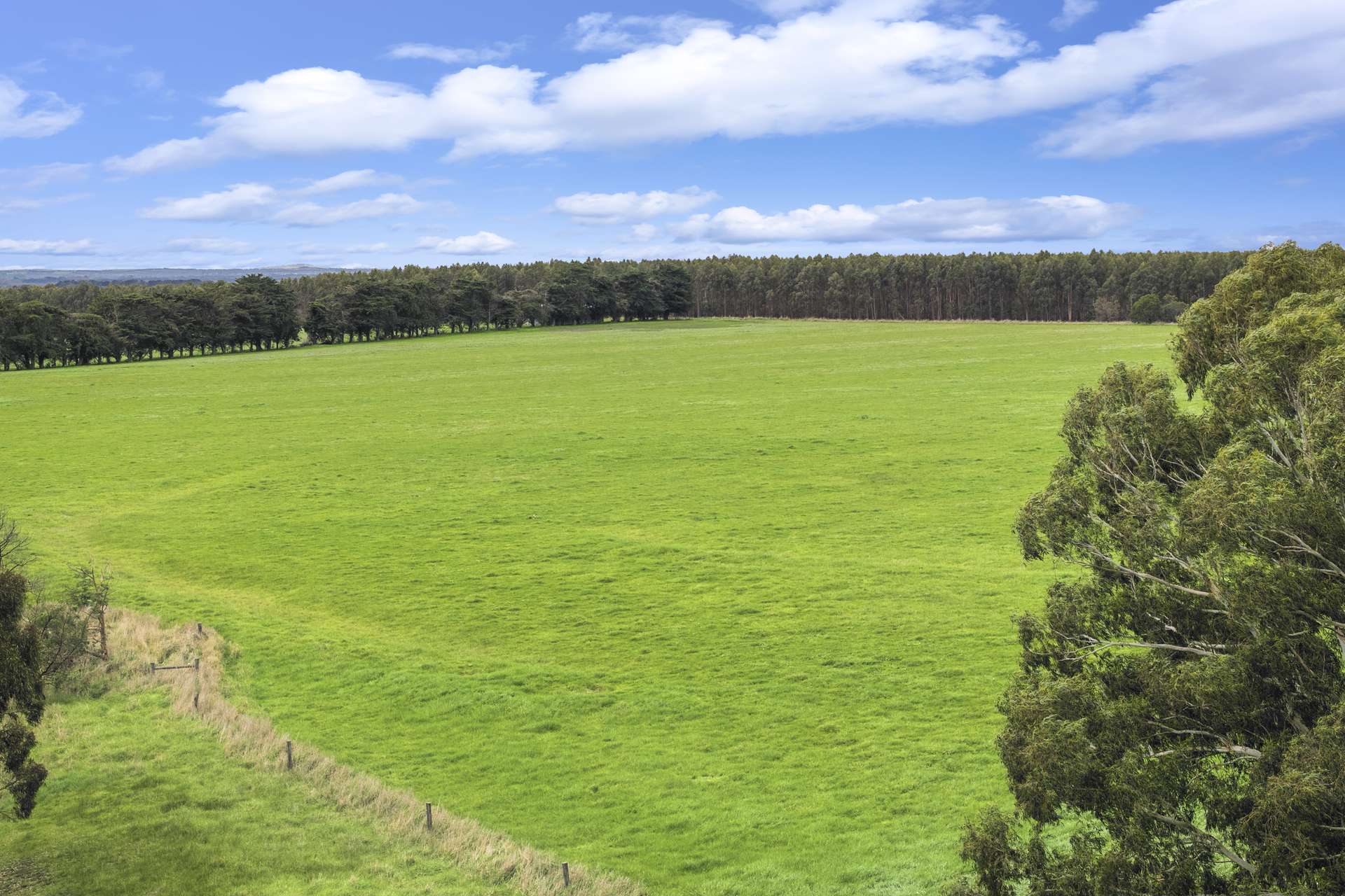 470 Rifle Butts Road, Birregurra For Sale by Farmbuy.com - image 8