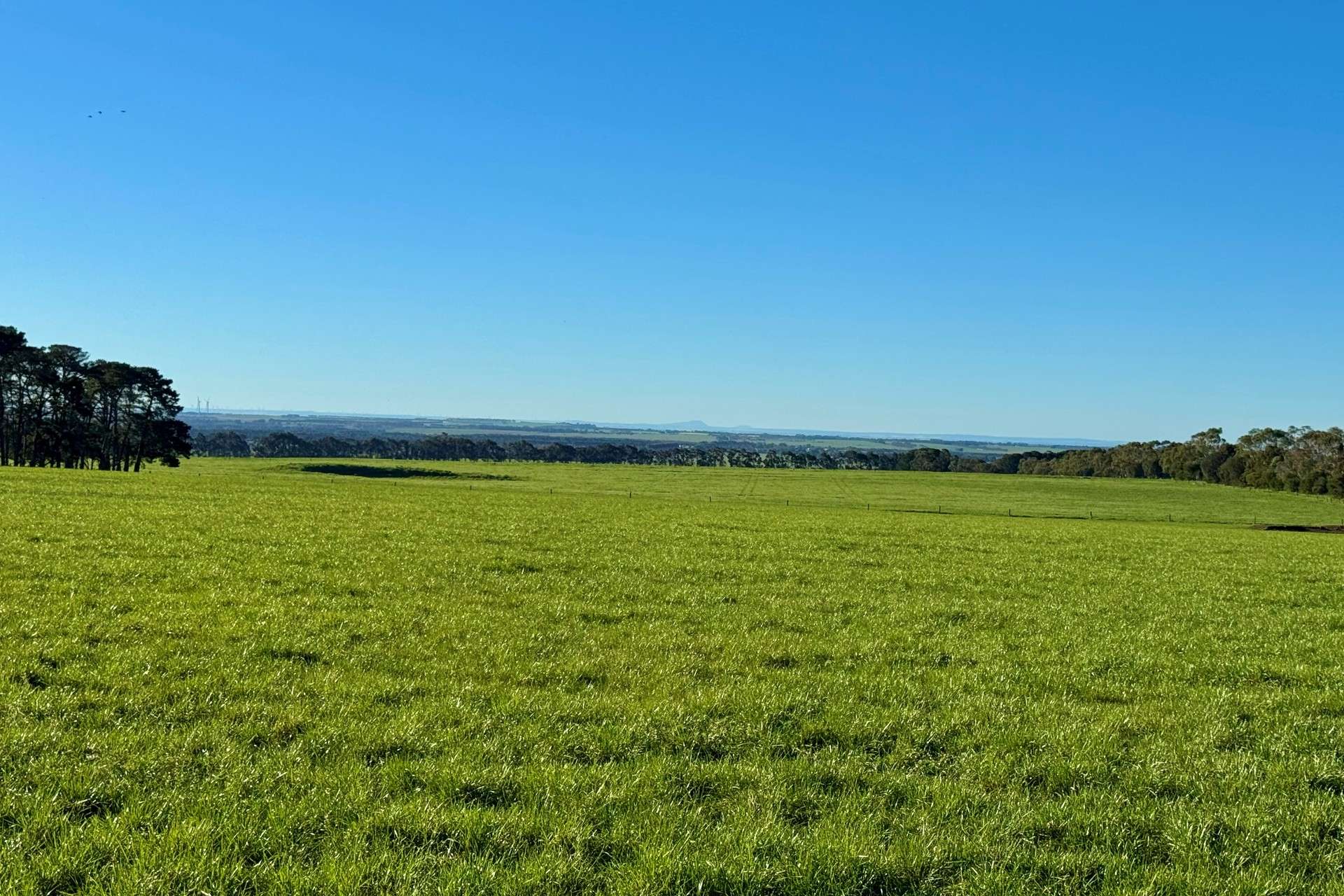 470 Rifle Butts Road, Birregurra For Sale by Farmbuy.com - image 24