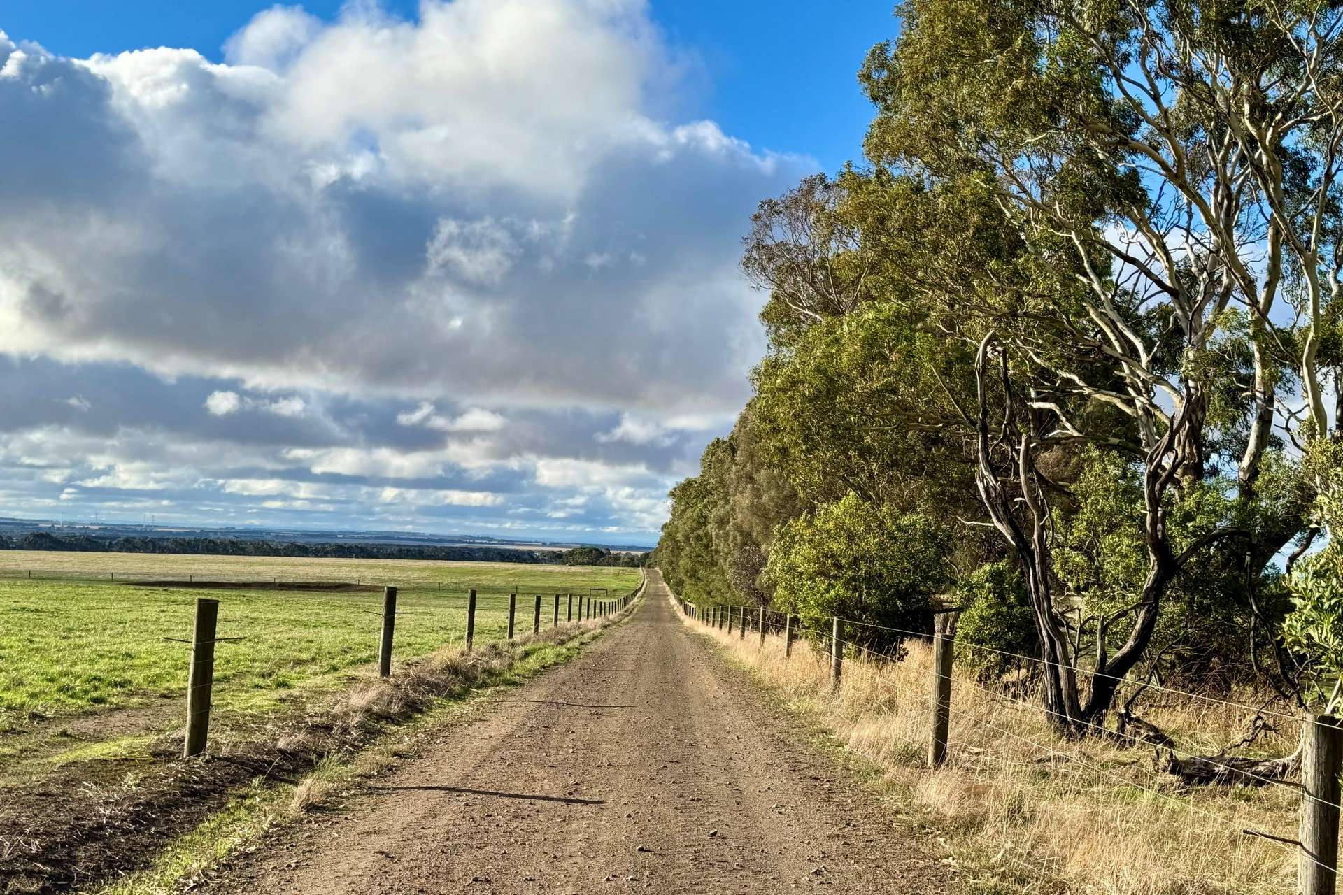 470 Rifle Butts Road, Birregurra For Sale by Farmbuy.com - image 20