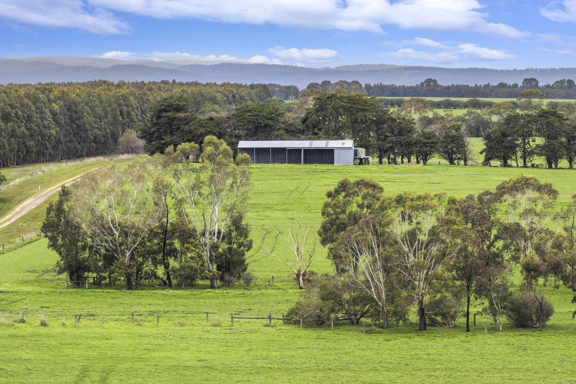 470 Rifle Butts Road, Birregurra For Sale by Farmbuy.com - image 15