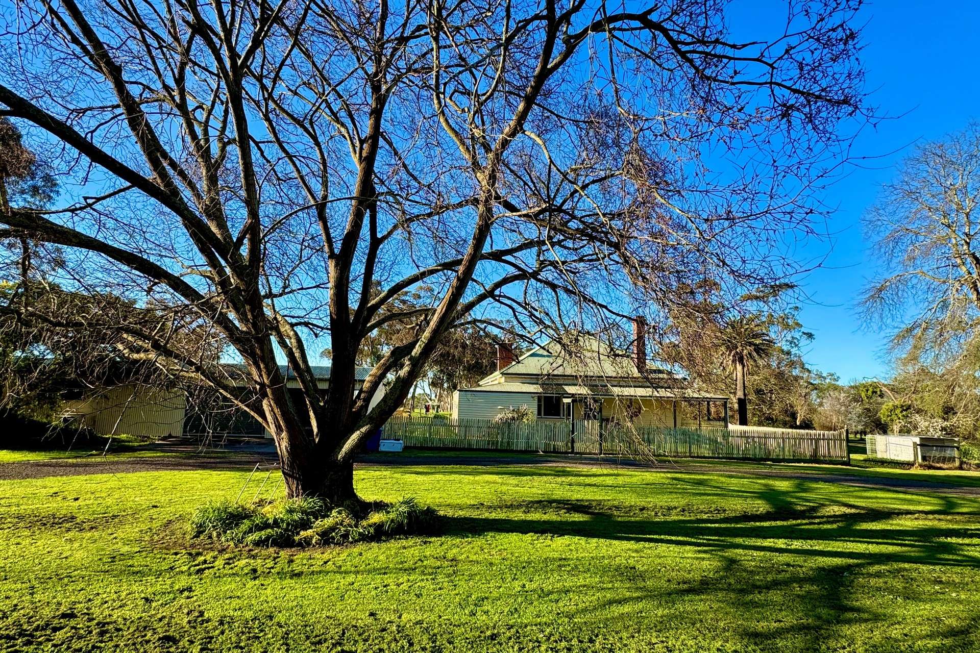 470 Rifle Butts Road, Birregurra For Sale by Farmbuy.com - image 5