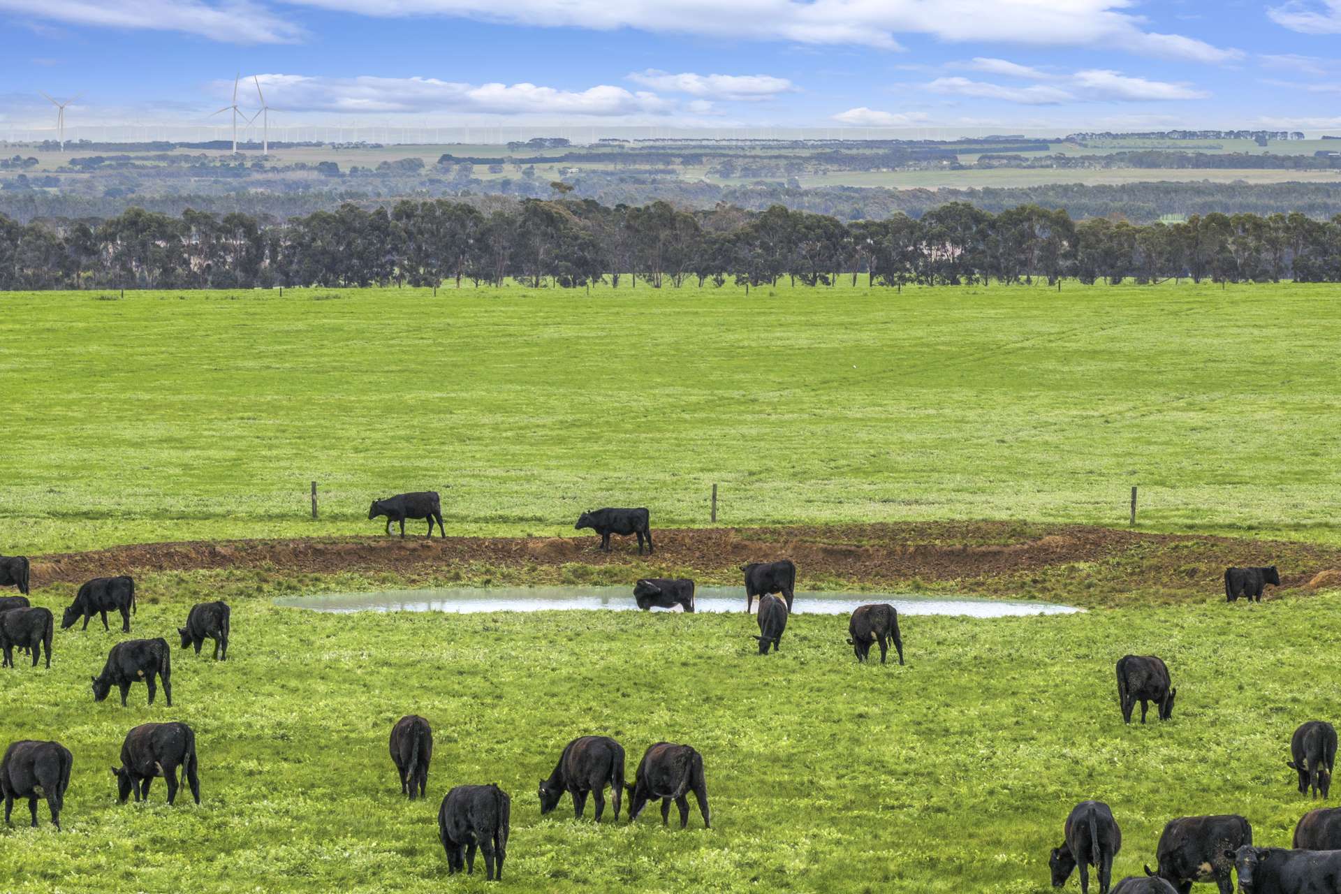 470 Rifle Butts Road, Birregurra For Sale by Farmbuy.com - image 1