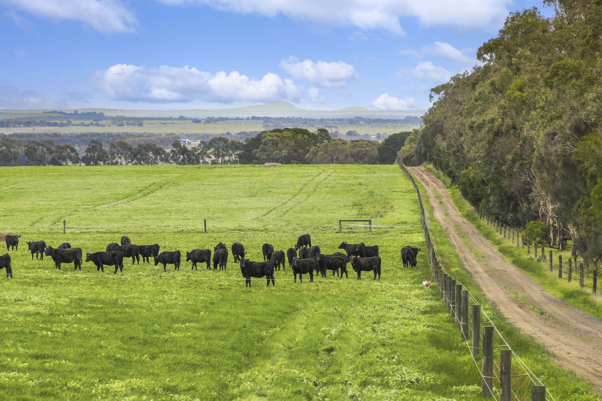 470 Rifle Butts Road, Birregurra For Sale by Farmbuy.com - image 21