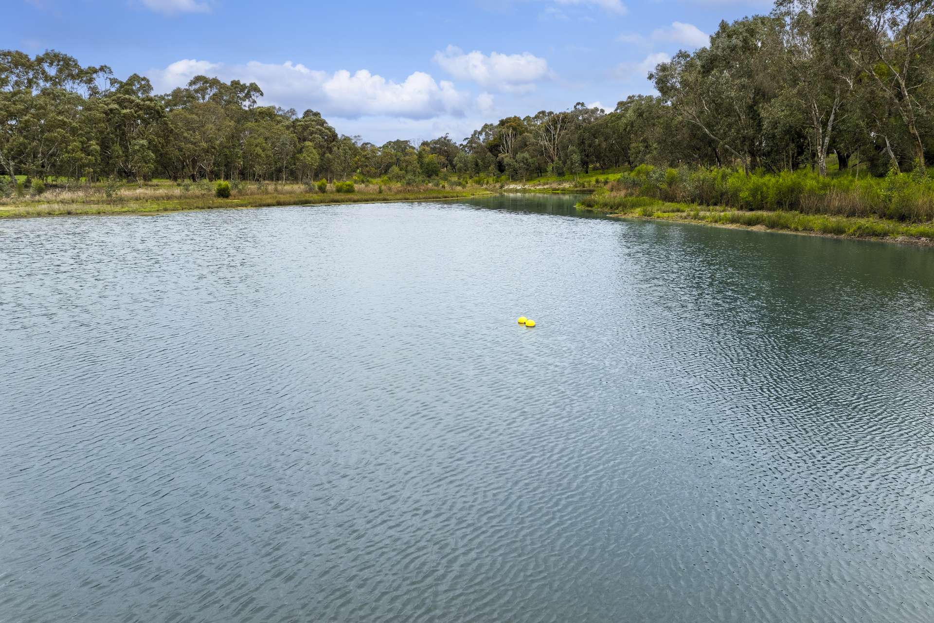 470 Rifle Butts Road, Birregurra For Sale by Farmbuy.com - image 11