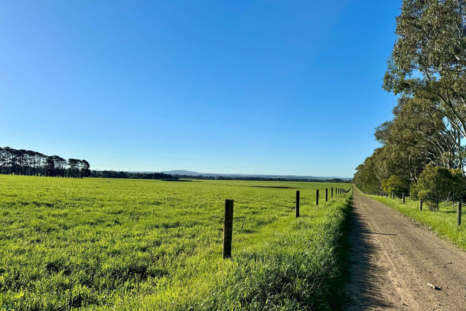 470 Rifle Butts Road, Birregurra For Sale by Farmbuy.com - image 21