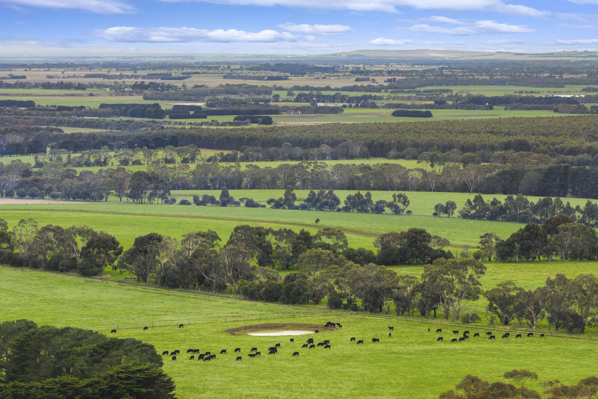 470 Rifle Butts Road, Birregurra For Sale by Farmbuy.com - image 22