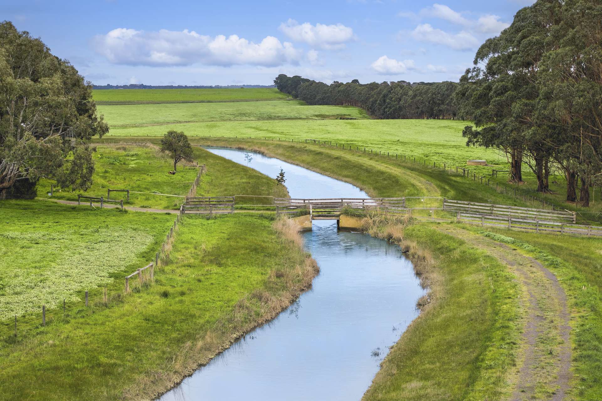 470 Rifle Butts Road, Birregurra For Sale by Farmbuy.com - image 14