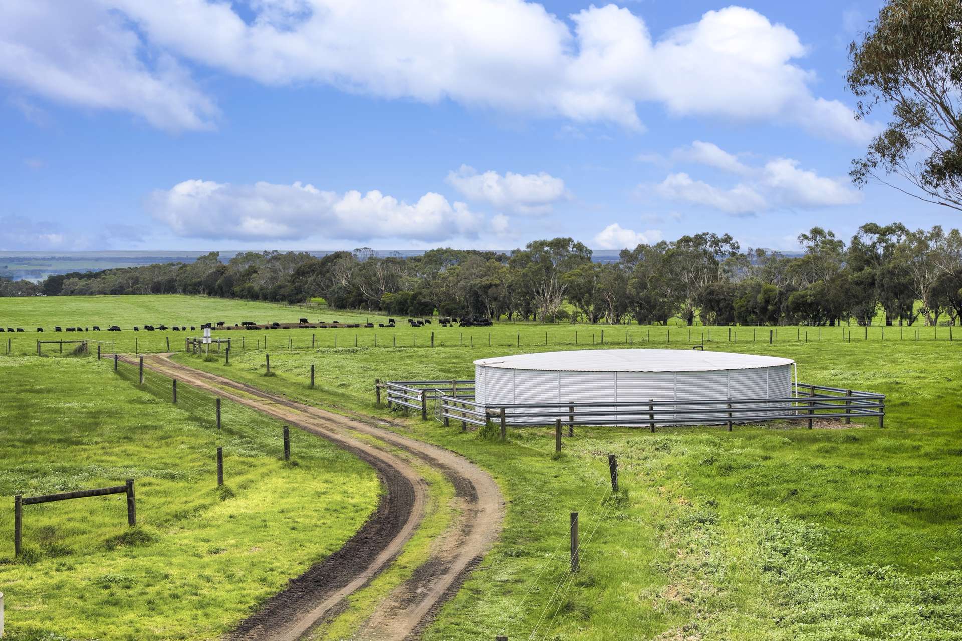470 Rifle Butts Road, Birregurra For Sale by Farmbuy.com - image 10