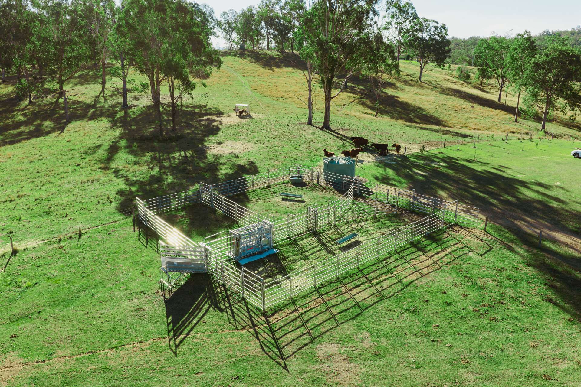 298 Cainbable Creek Road, Cainbable For Sale by Farmbuy.com - image 21