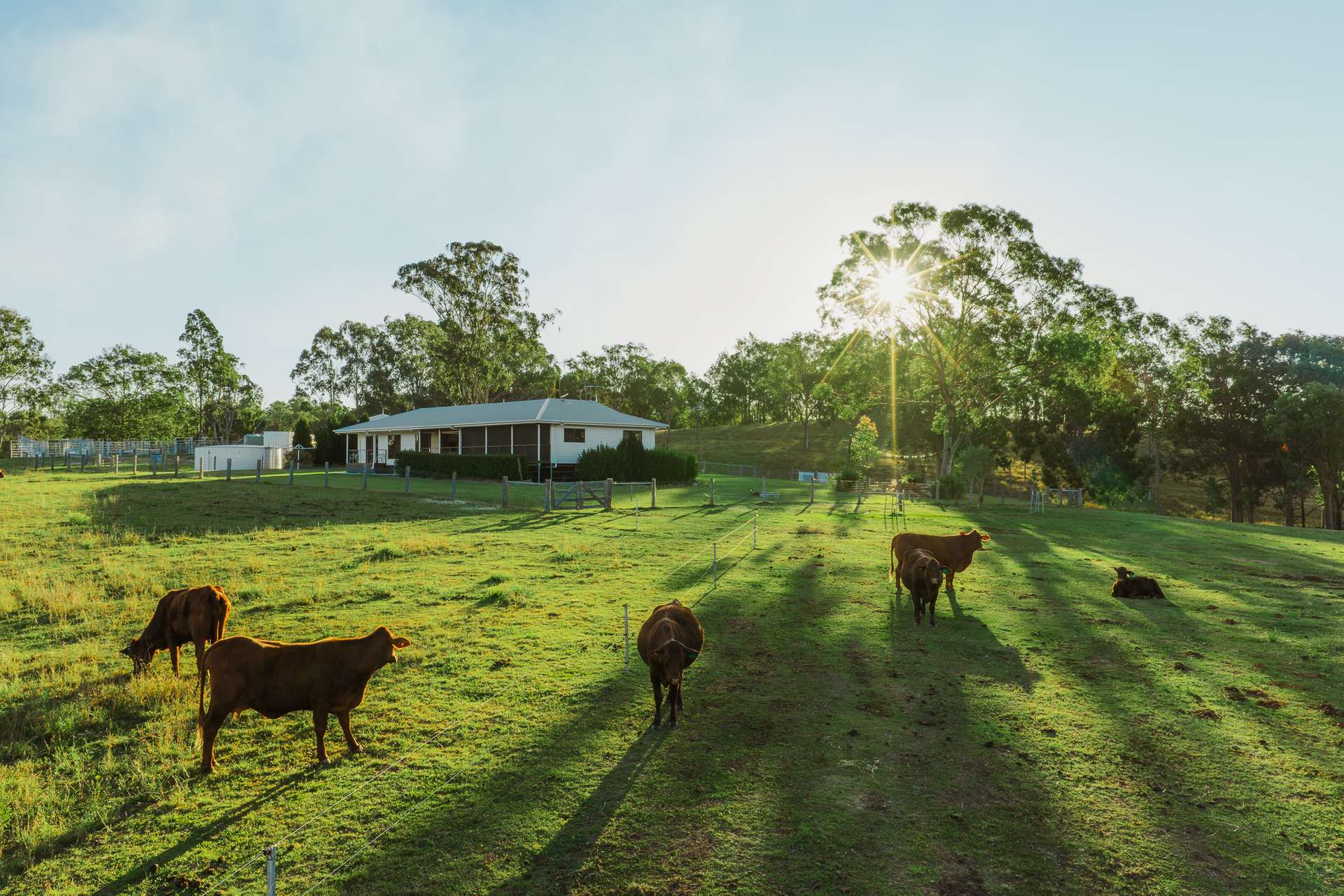 298 Cainbable Creek Road, Cainbable For Sale by Farmbuy.com - image 6