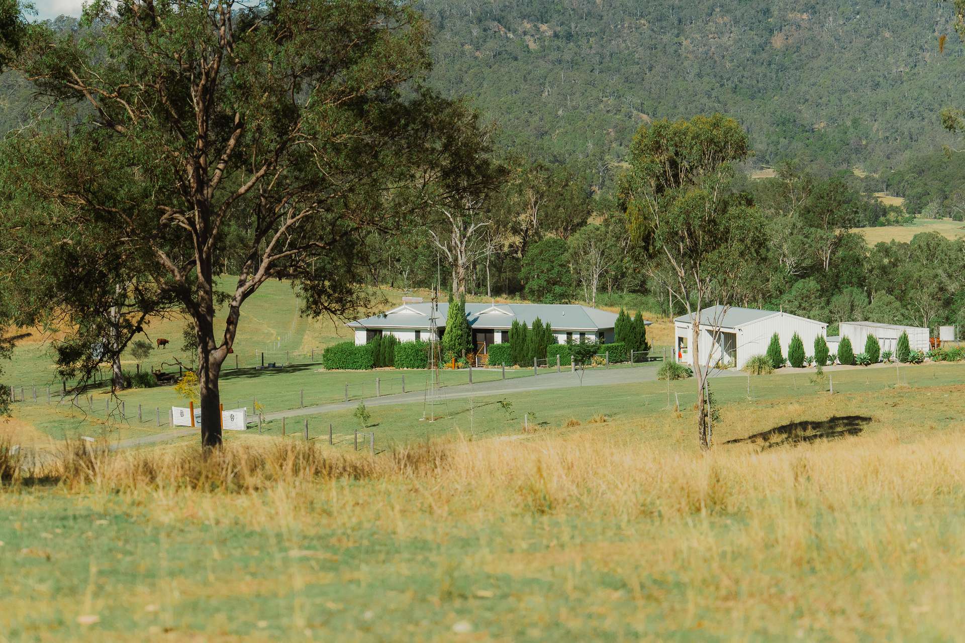 298 Cainbable Creek Road, Cainbable For Sale by Farmbuy.com - image 15