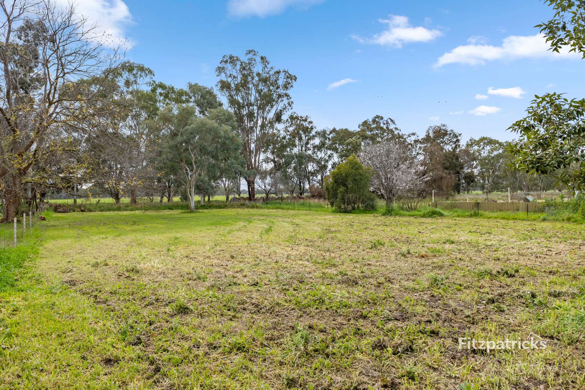 36 McNickle Road, Moorong For Sale by Farmbuy.com - image 20