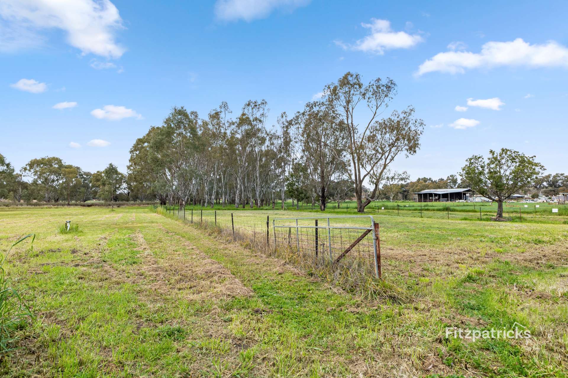 36 McNickle Road, Moorong For Sale by Farmbuy.com - image 21