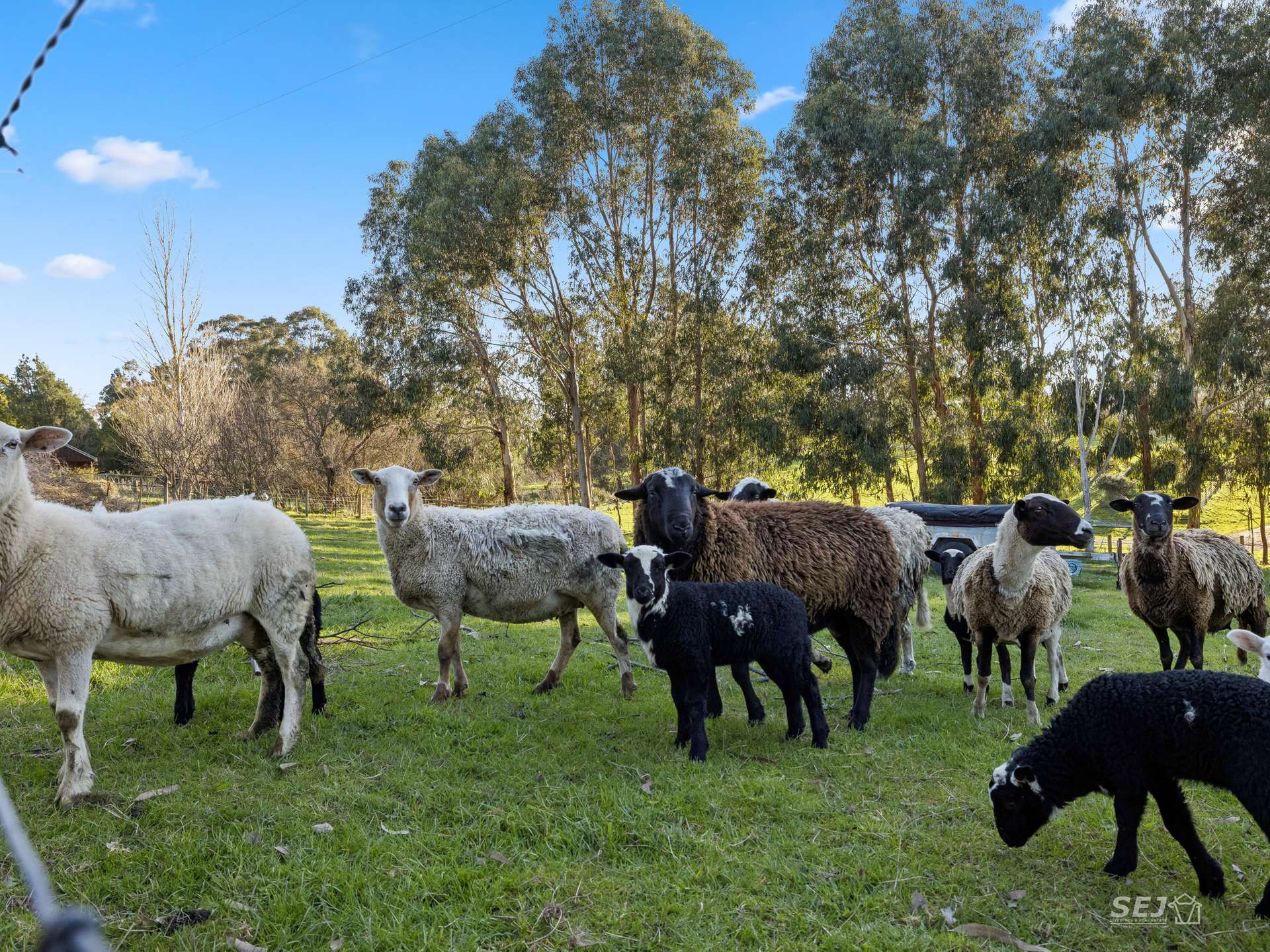 67 Huttons Road, Kardella For Sale by Farmbuy.com - image 31