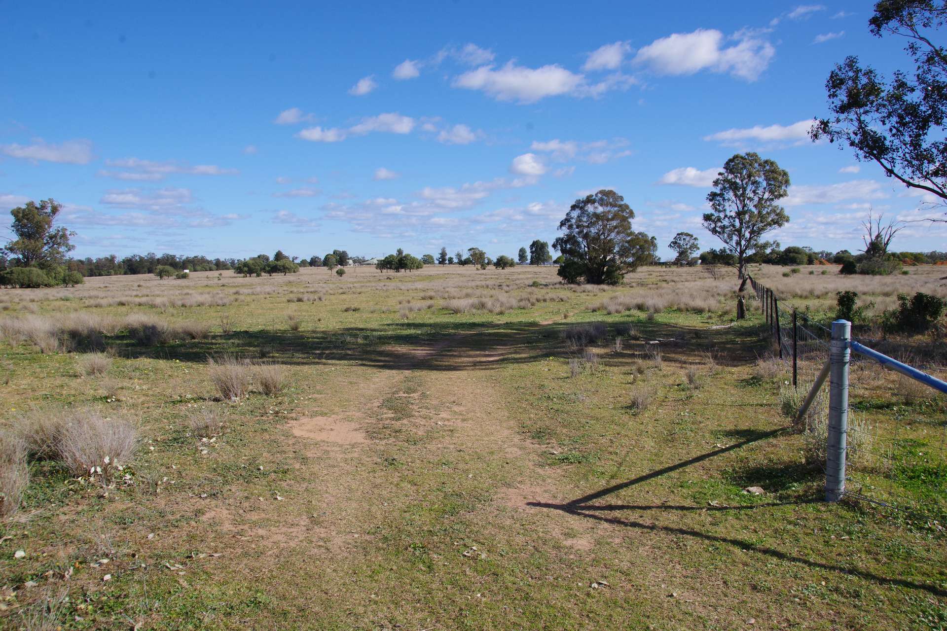 433 Killarney Gap Road, Narrabri Sold by Farmbuy.com - image 31