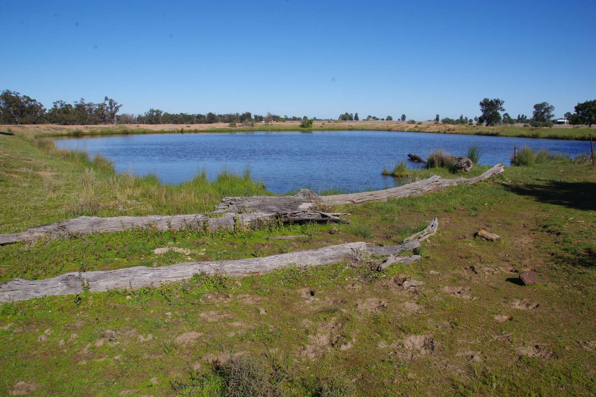 433 Killarney Gap Road, Narrabri Sold by Farmbuy.com - image 27