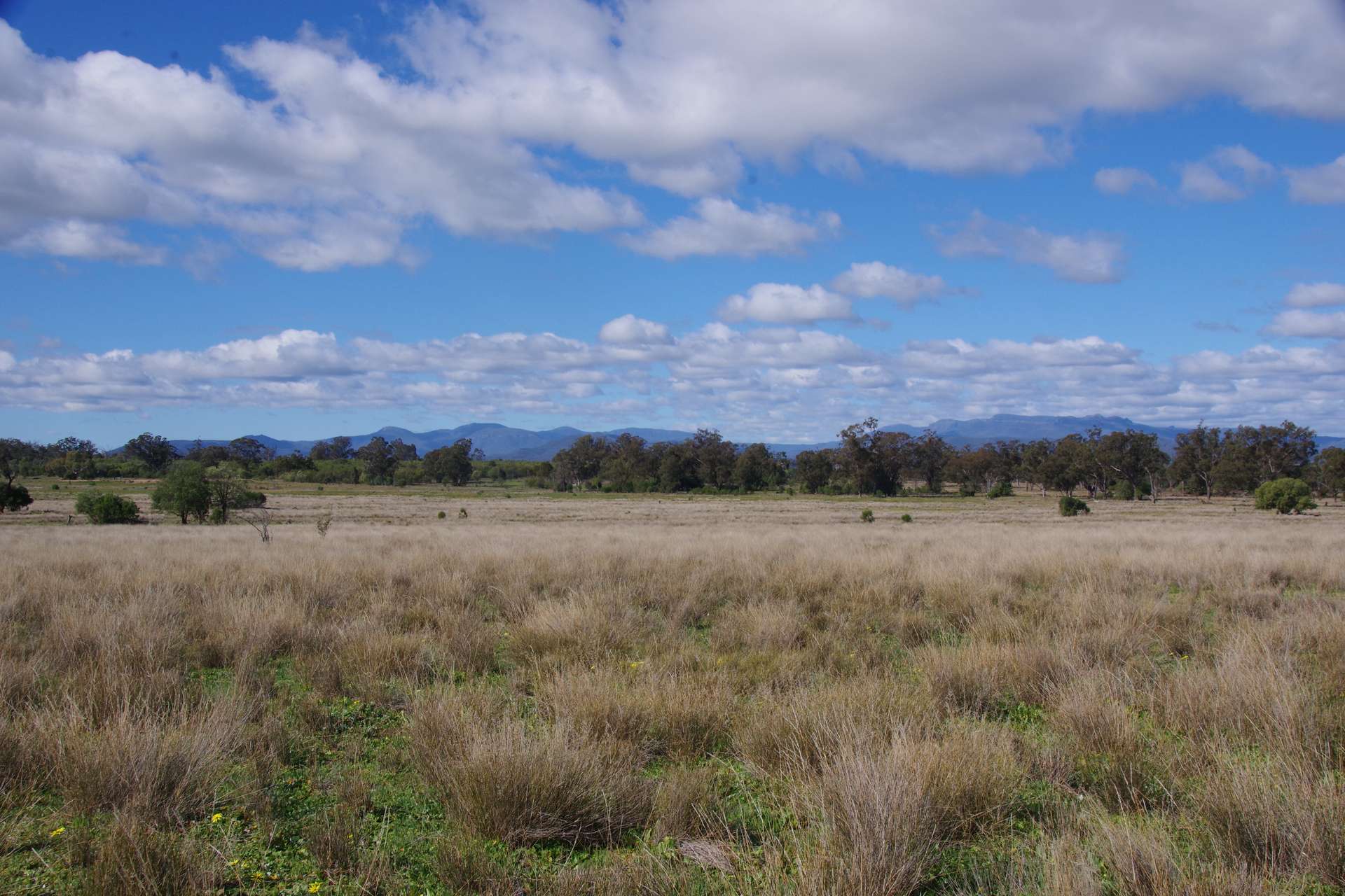 433 Killarney Gap Road, Narrabri Sold by Farmbuy.com - image 2
