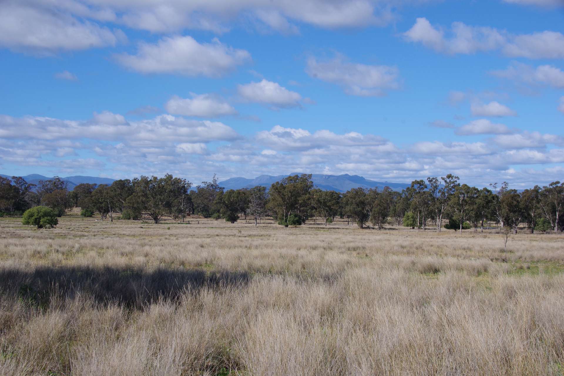 433 Killarney Gap Road, Narrabri Sold by Farmbuy.com - image 1