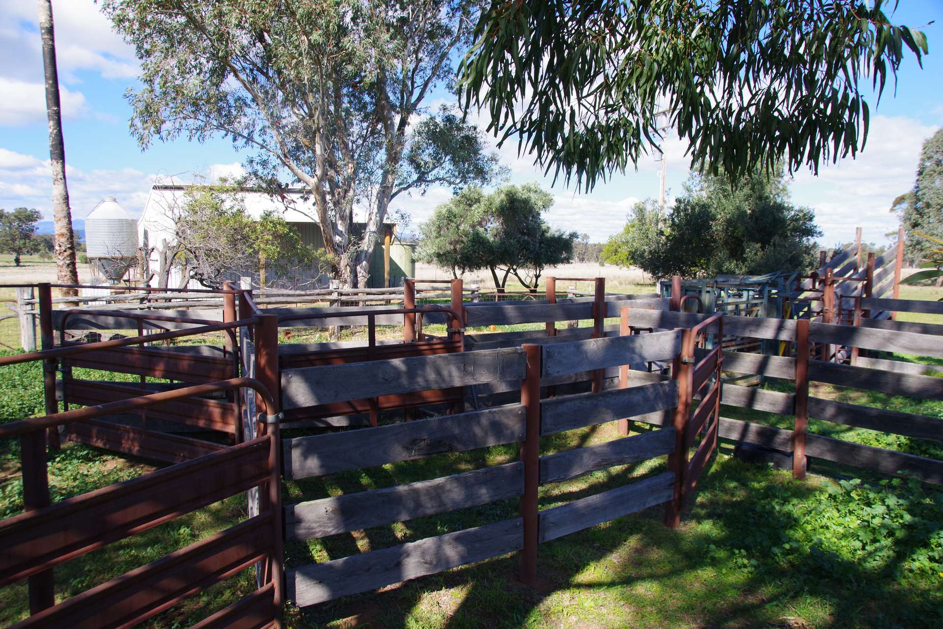 433 Killarney Gap Road, Narrabri Sold by Farmbuy.com - image 13