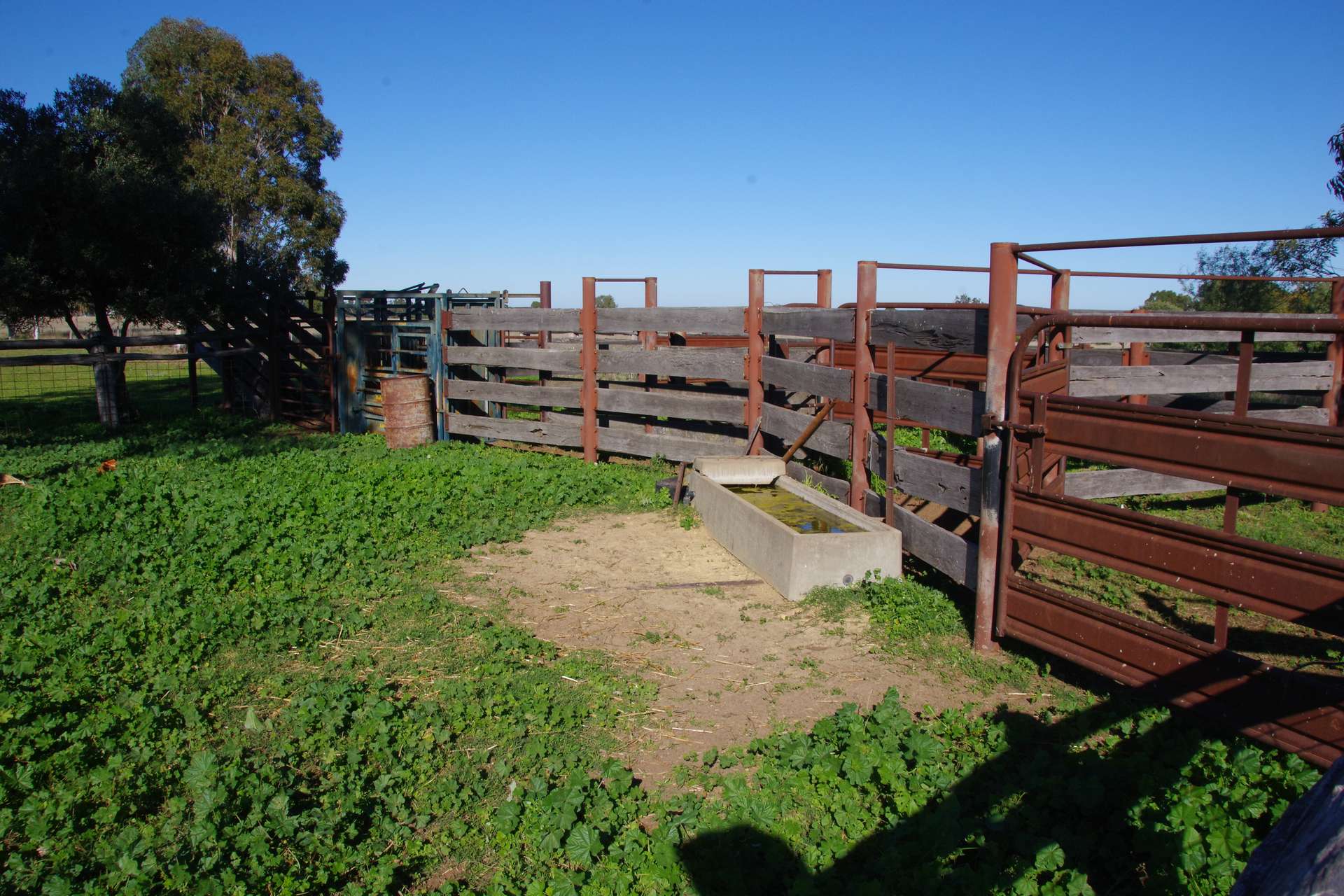 433 Killarney Gap Road, Narrabri Sold by Farmbuy.com - image 14