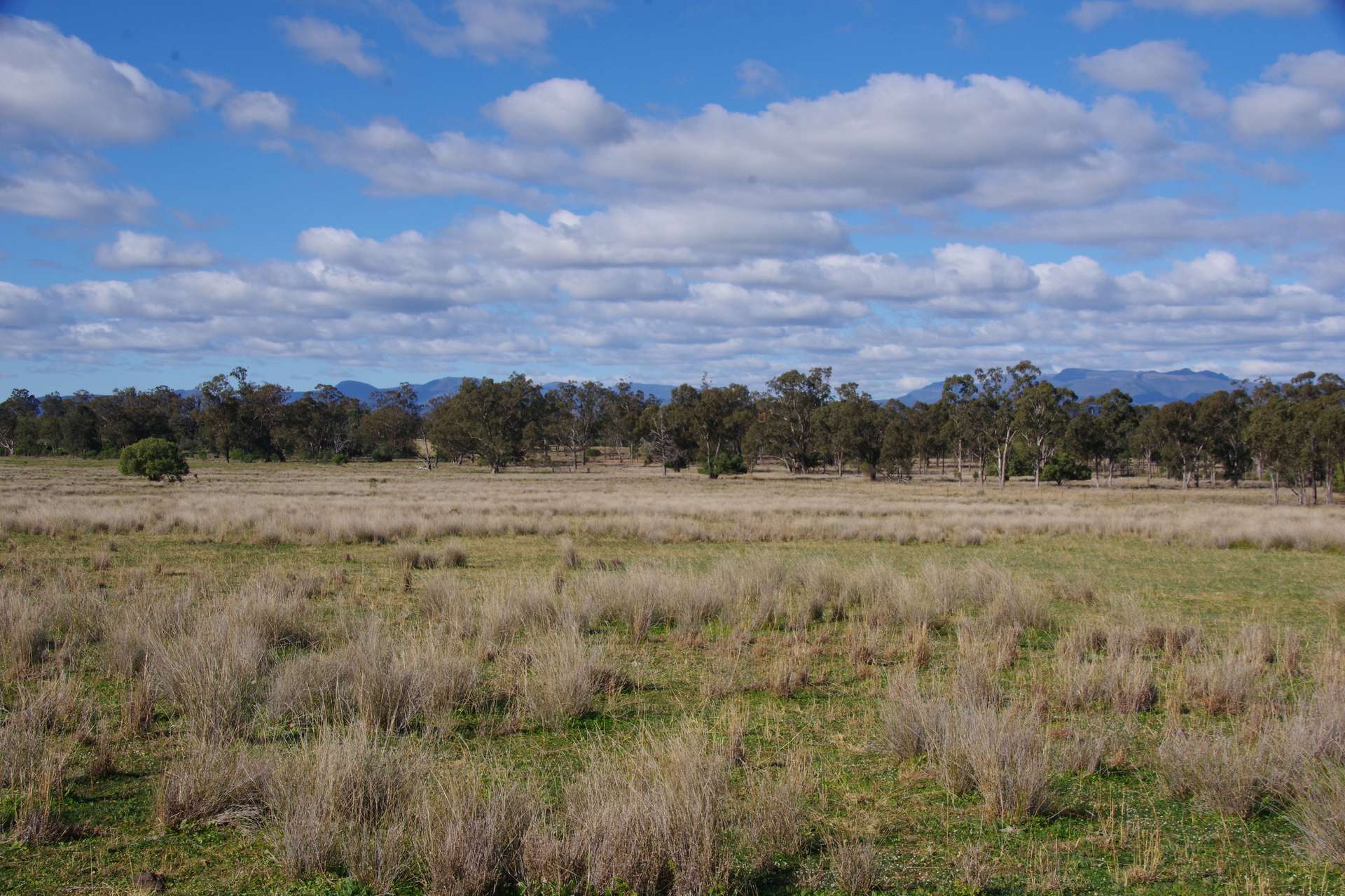 433 Killarney Gap Road, Narrabri Sold by Farmbuy.com - image 34