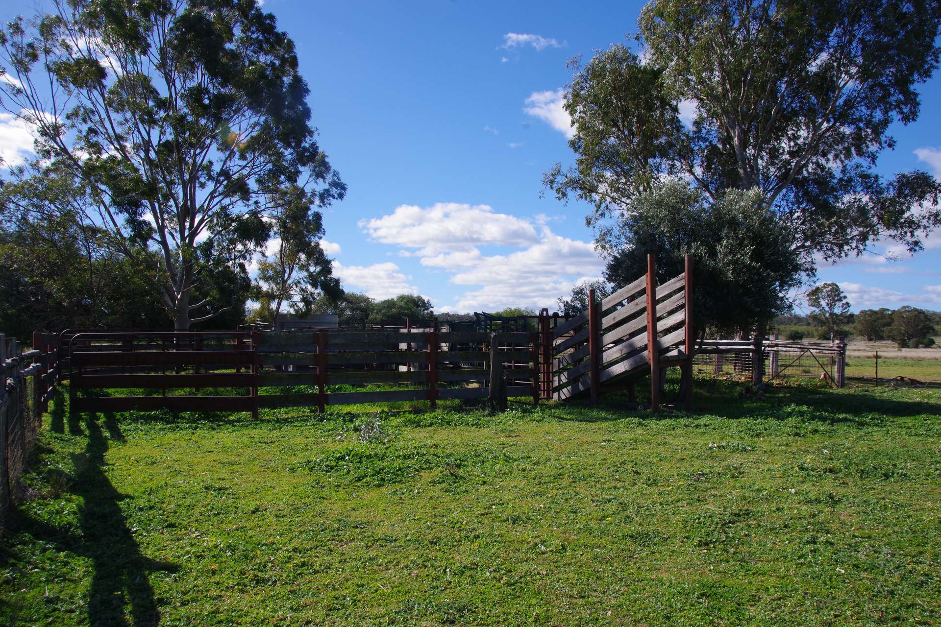 433 Killarney Gap Road, Narrabri Sold by Farmbuy.com - image 11