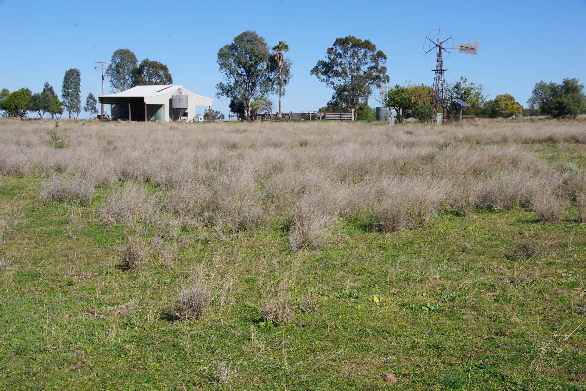 433 Killarney Gap Road, Narrabri Sold by Farmbuy.com - image 28