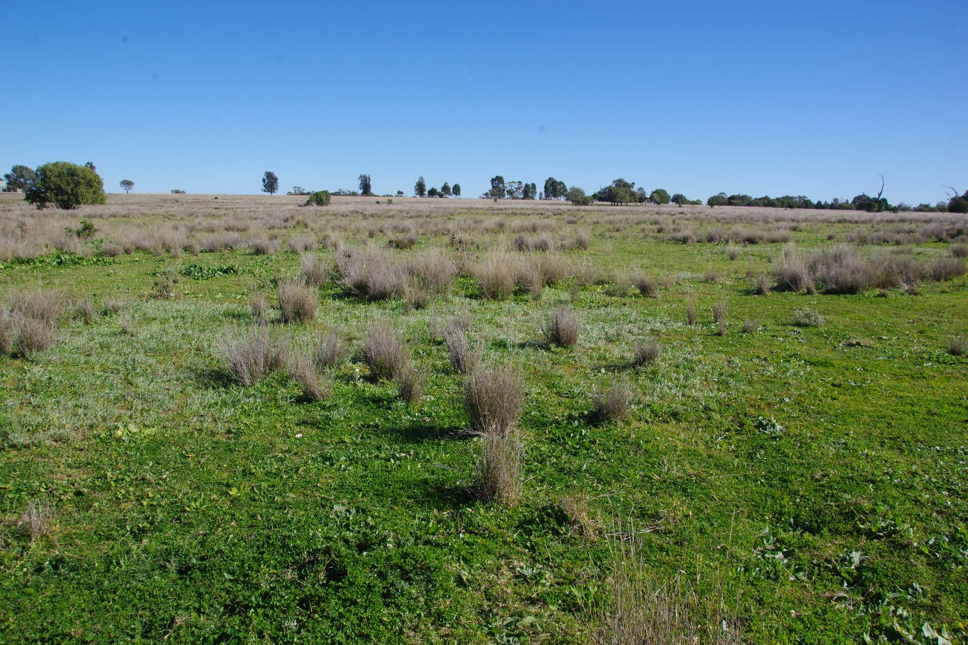 433 Killarney Gap Road, Narrabri Sold by Farmbuy.com - image 26