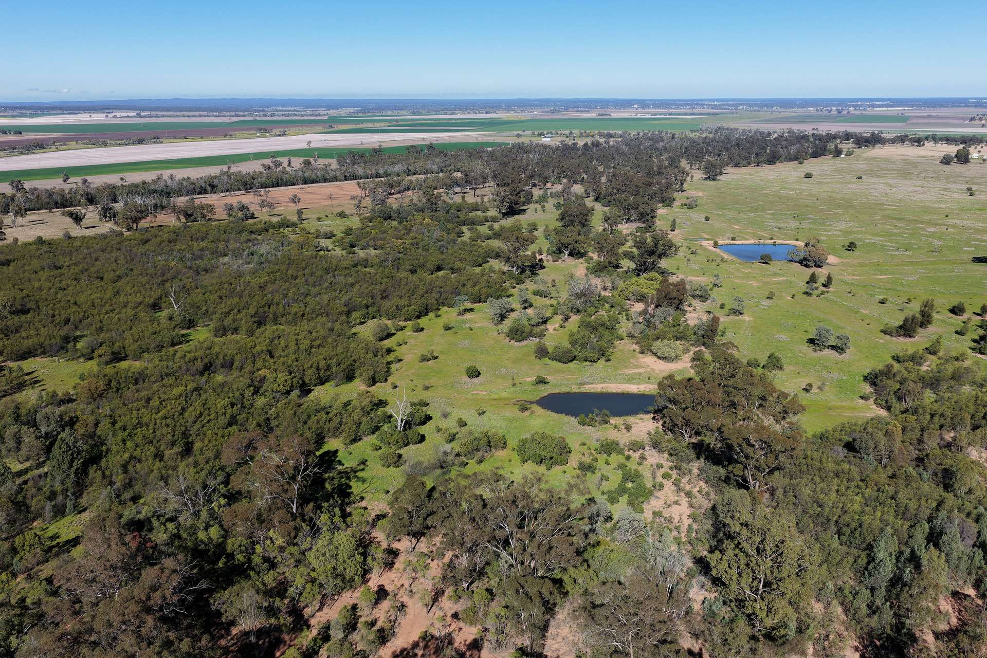 433 Killarney Gap Road, Narrabri Sold by Farmbuy.com - image 18