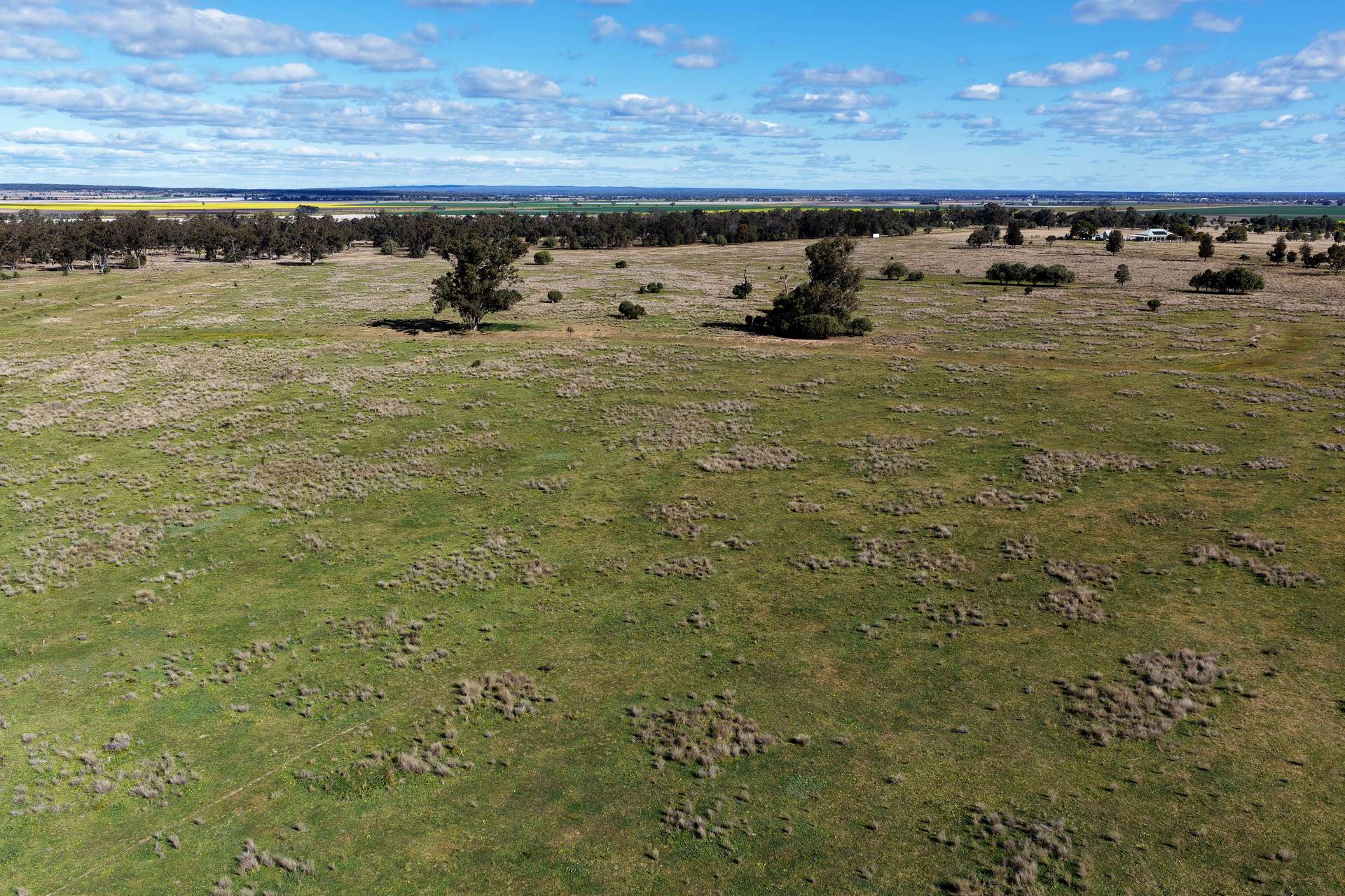 433 Killarney Gap Road, Narrabri Sold by Farmbuy.com - image 22