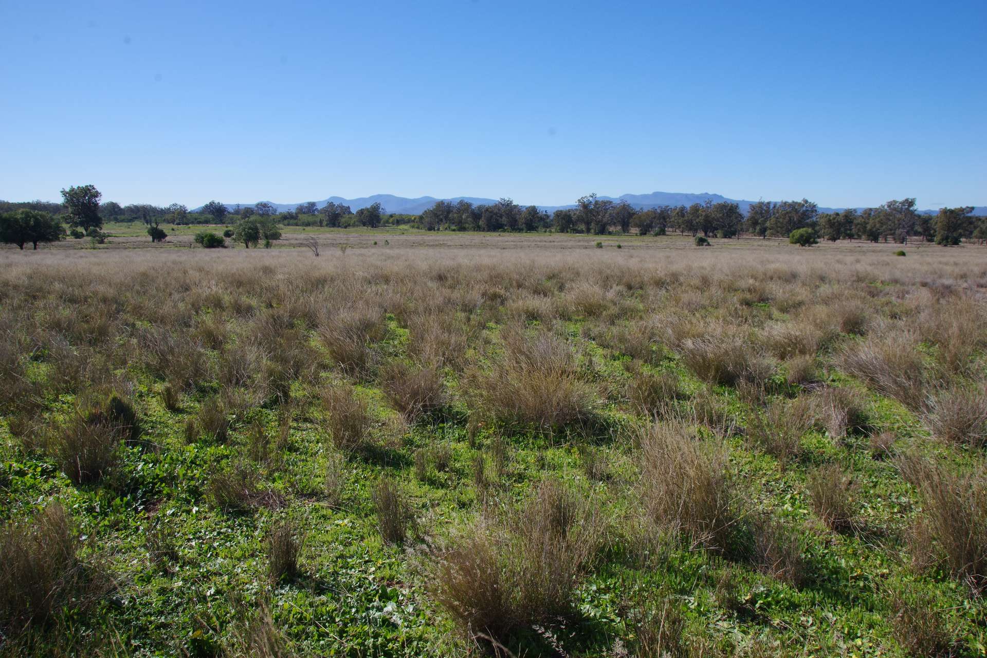 433 Killarney Gap Road, Narrabri Sold by Farmbuy.com - image 29