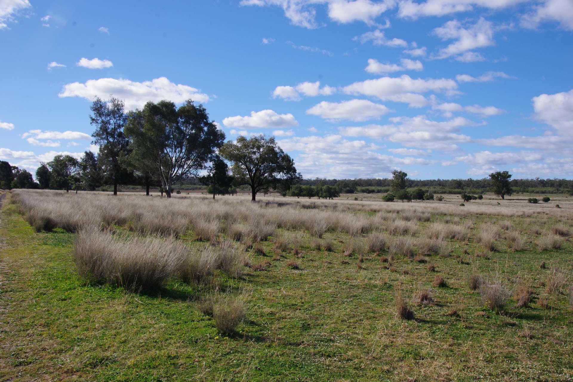 433 Killarney Gap Road, Narrabri Sold by Farmbuy.com - image 33
