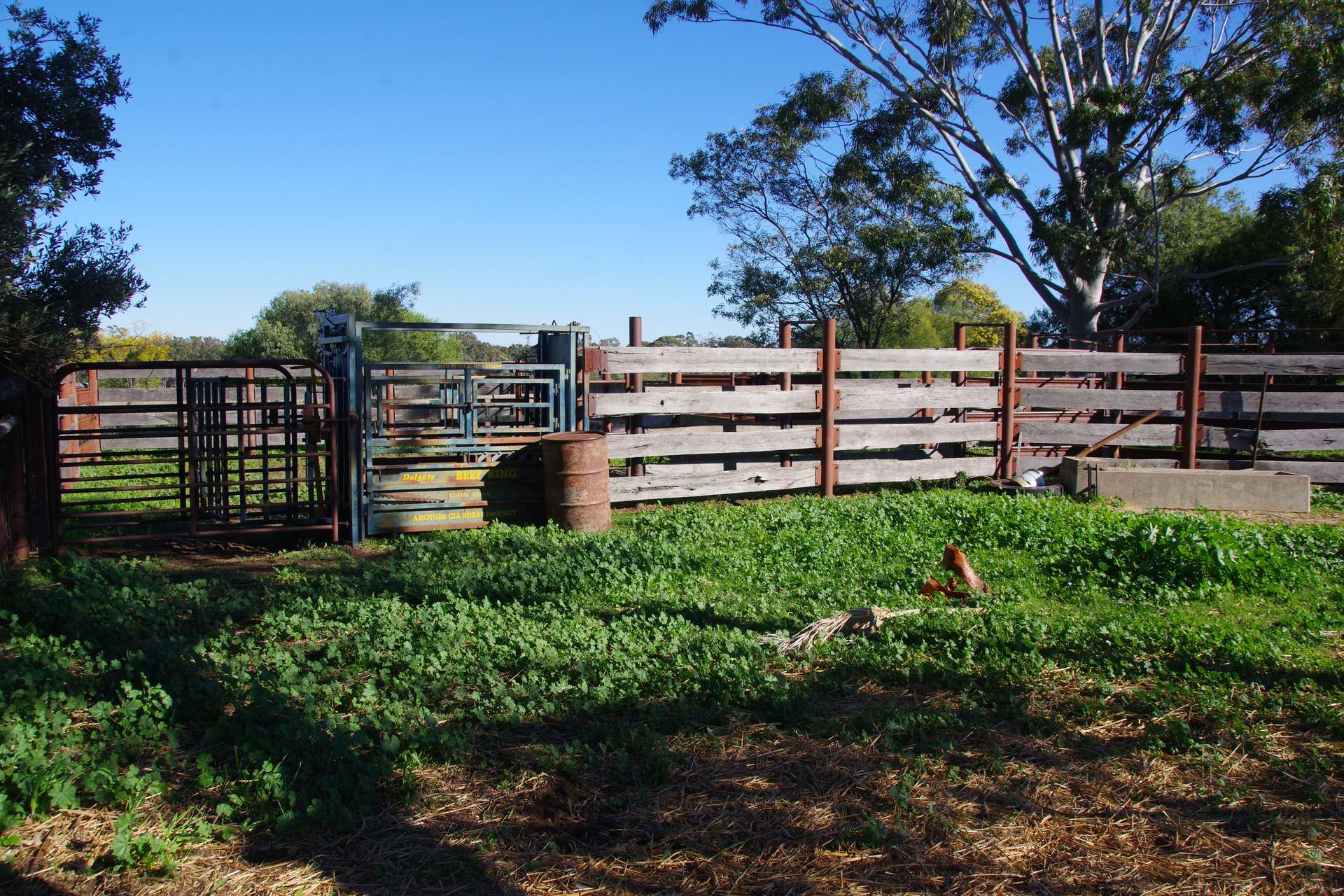 433 Killarney Gap Road, Narrabri Sold by Farmbuy.com - image 12