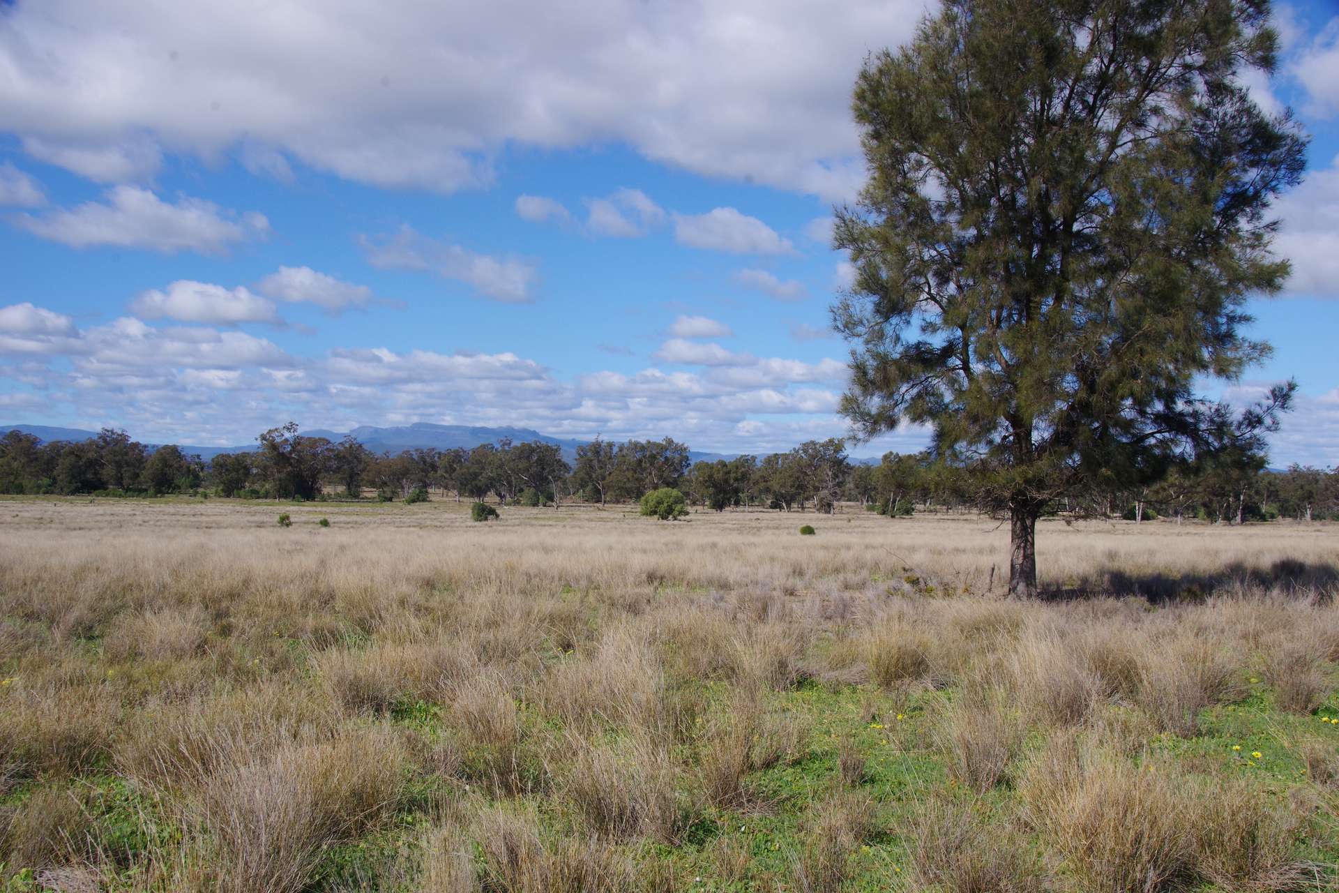 433 Killarney Gap Road, Narrabri Sold by Farmbuy.com - image 5