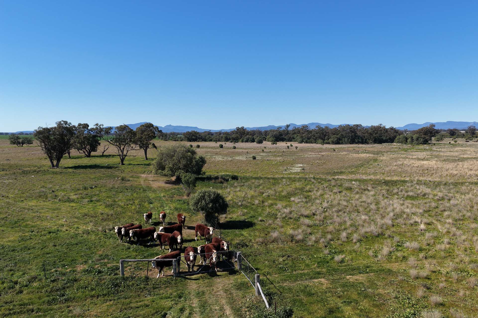 625 Logans Lane, Narrabri Auction by Farmbuy.com - image 19